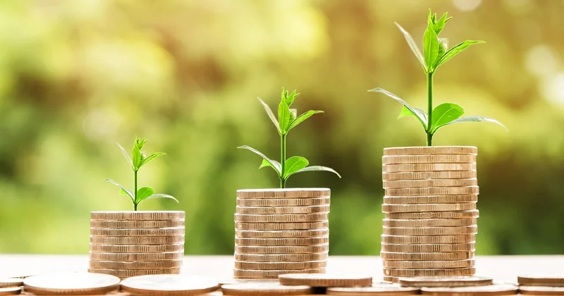Croissance rentable contre croissance à tout prix : comment arbitrer ?